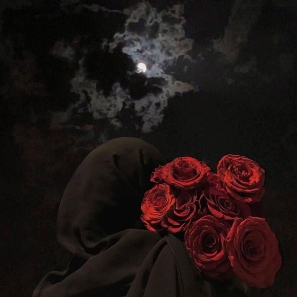 Meet your Posher, Hano - Picture 1 of 1